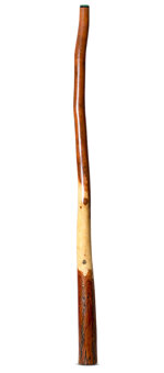 Wix Stix Didgeridoo (WS341)